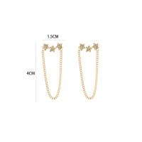 Ster Oorbel Stainless Steel Goud